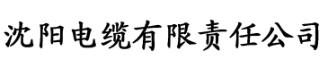 篮球队的公共玩具正伟电缆厂logo